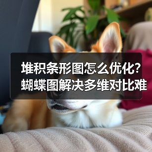 堆积条形图怎么优化？蝴蝶图解决多维对比难题（图3）