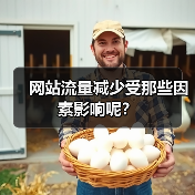 网站流量减少受那些因素影响呢？