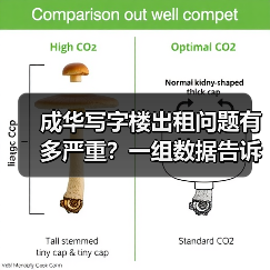 网站权重的评判标准是什么呢？