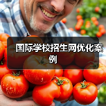 国际学校招生网优化案例